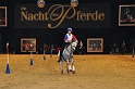 Pferd u Jagd   069